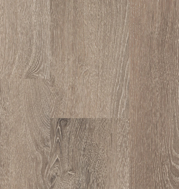 HEBETA Progress XL Plank 54818