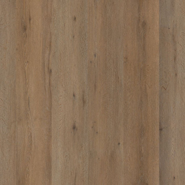 Leyton dryback smoky