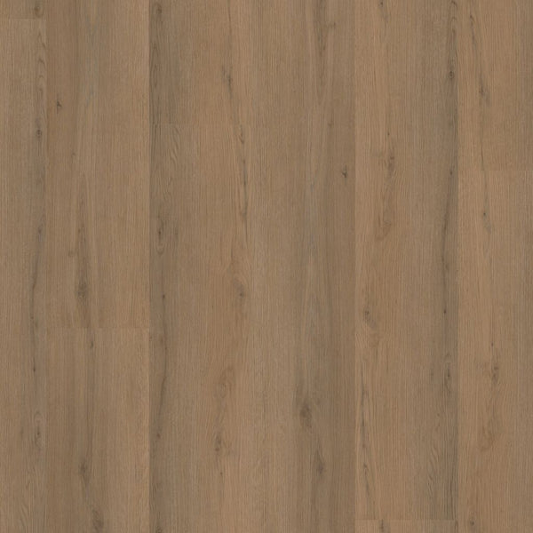 Barnet dryback dark oak