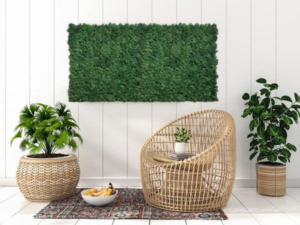 Akoestisch Mosgroen Tegel 60×60 cm | Pak à 0,36m²
