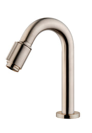 Caral Victoria fonteinkraan 1/2'' geborsteld staal