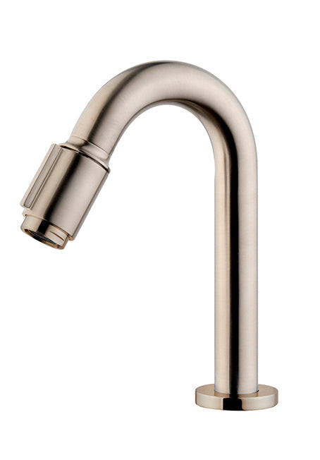 Caral Victoria fonteinkraan 1/2'' geborsteld staal