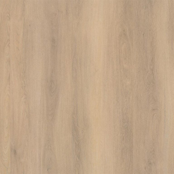 PATTERSON BLOND EIKEN