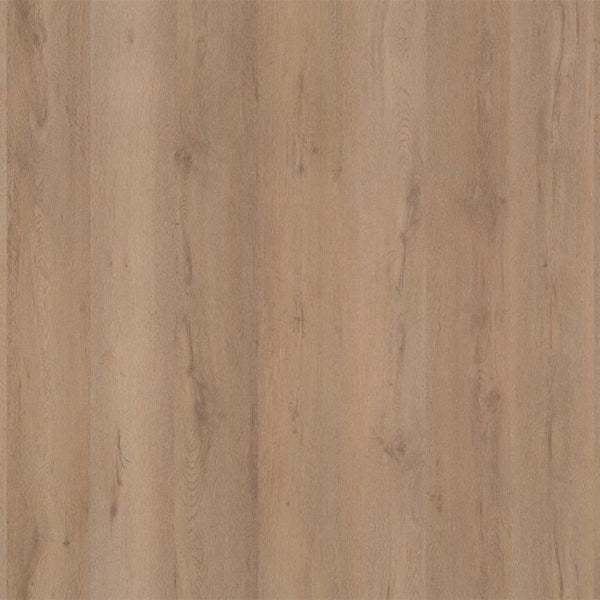 LIVINGSTON ZANDBRUIN EIKEN