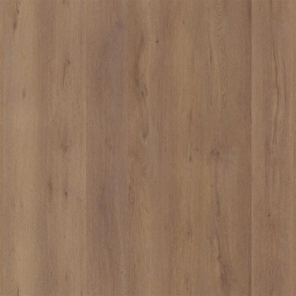 LIVINGSTON LICHTBRUIN EIKEN