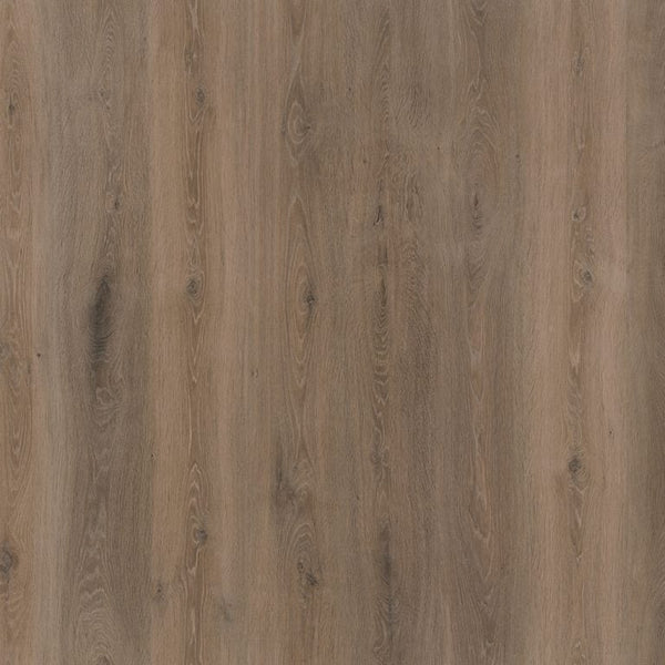 INWOOD EIKEN WARM BRUIN 3860