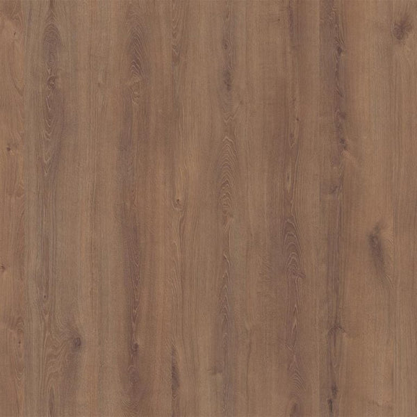 INWOOD EIKEN MIDDENBRUIN 6019