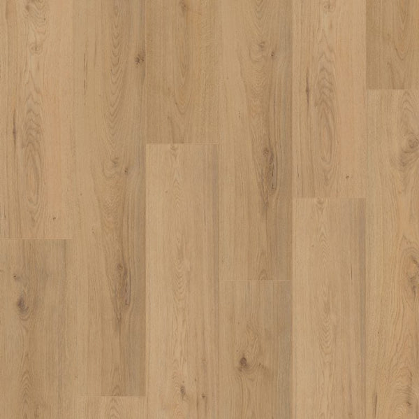 SURPRISE MILLENIUM OAK SP805