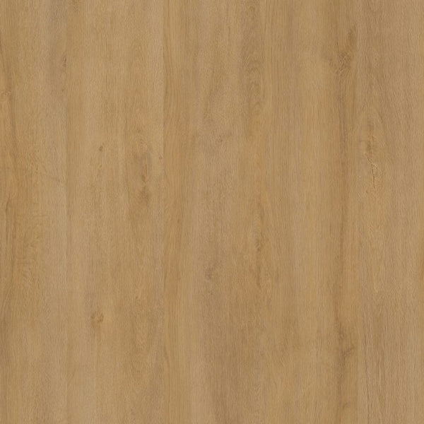 GRAND OAK GRIJSBRUIN EIKEN