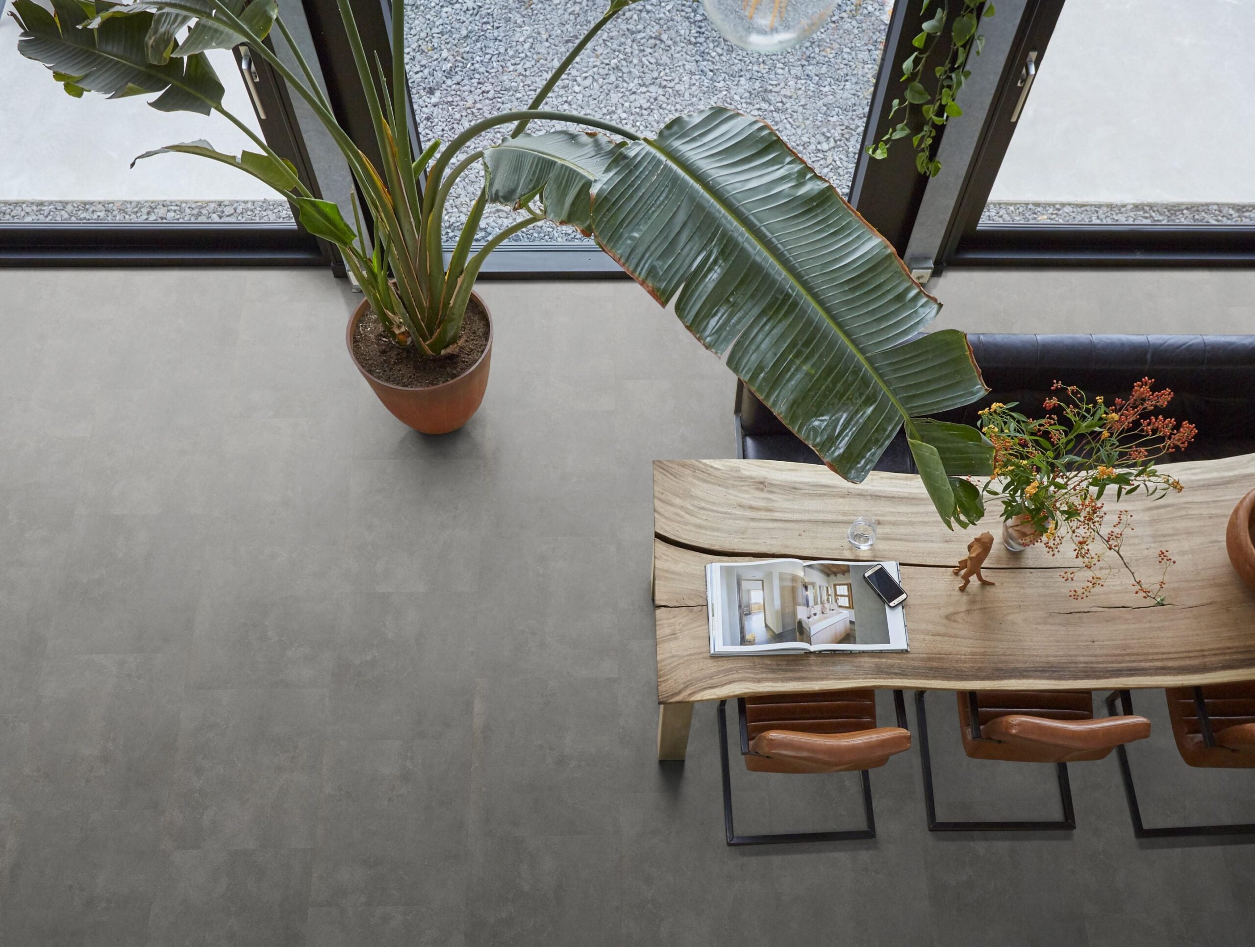 Victoria dryback grey