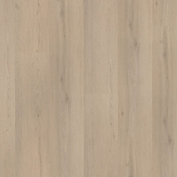 Barnet dryback beige