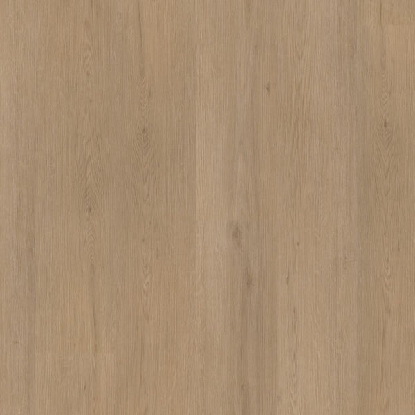 Barnet dryback natural oak