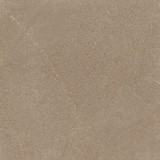 Burlington taupe rechthoekig 60x60