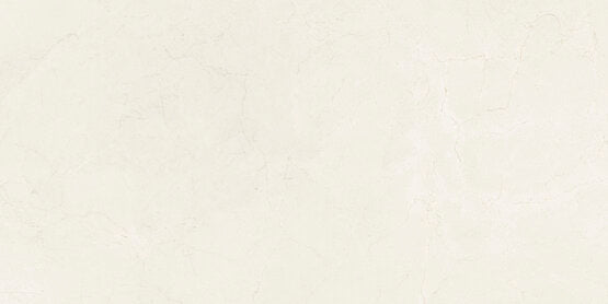 PETRA AUREA RECT 60X120