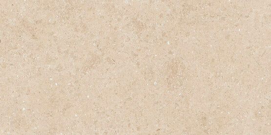 KYOTO BEIGE RECHTHOEKIG 30X60