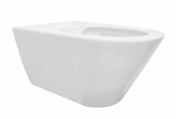 Stereo wandcloset rimless met bidetkraan koudwater mat wit