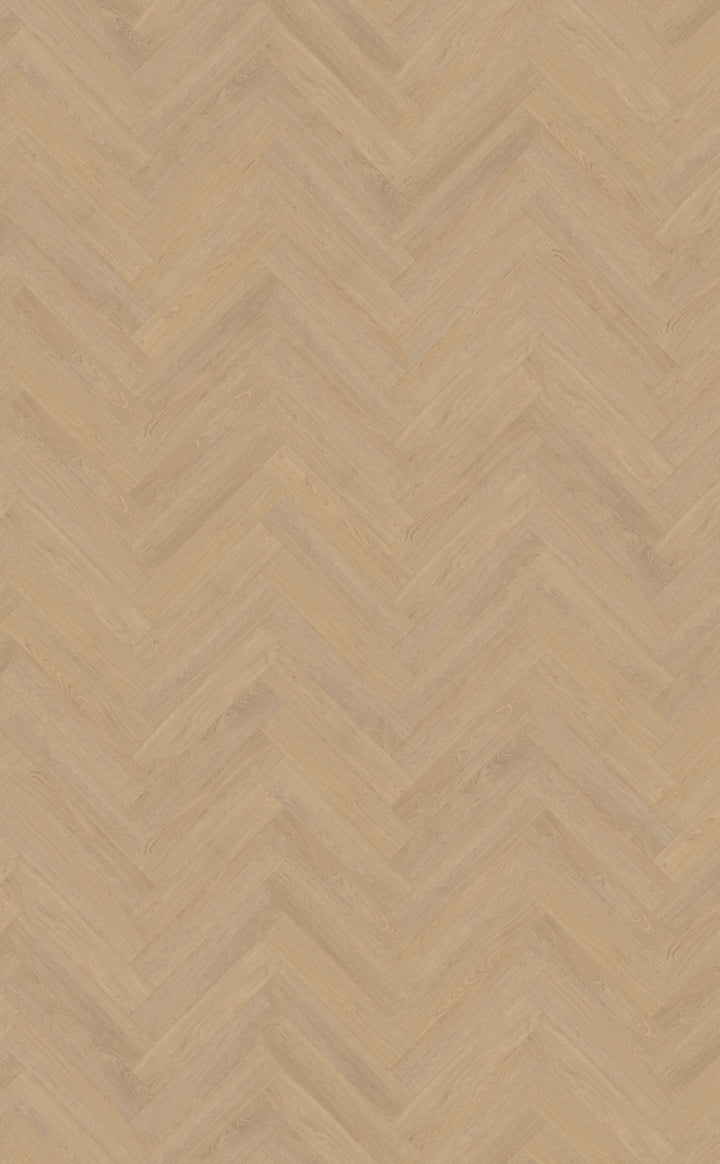 Terreno visgraat XL 61