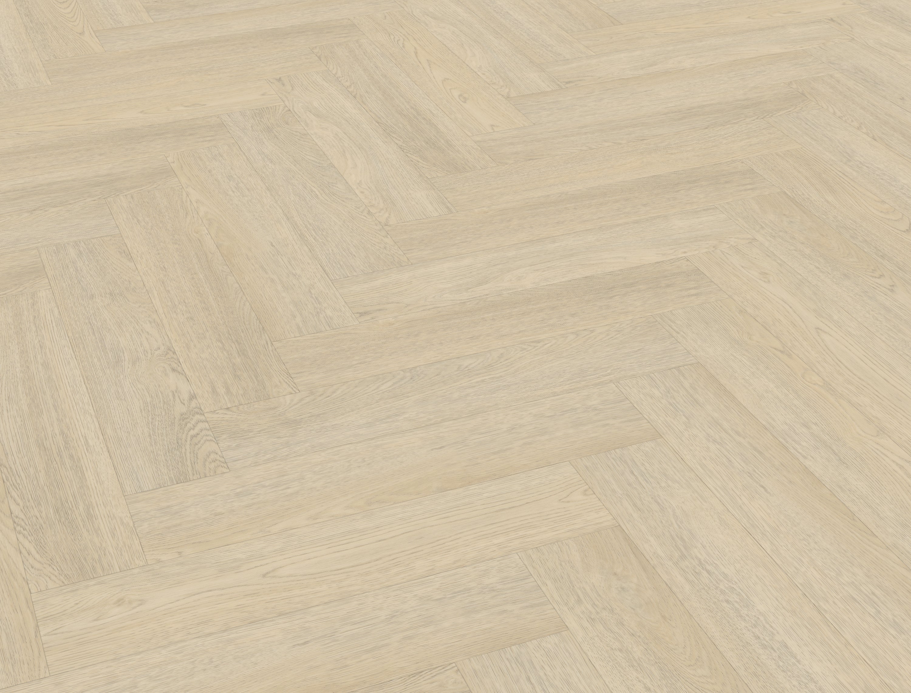 Terreno visgraat XL 62