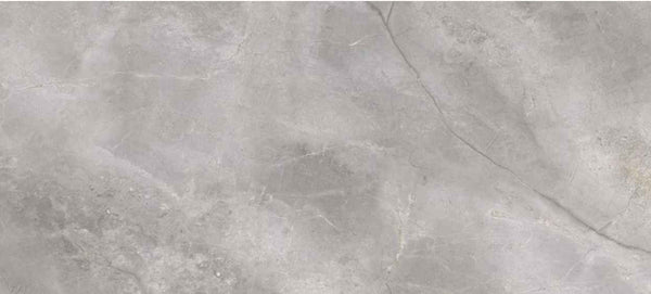 MASTERSTONE SILVER 60x120 RECT Art. 5635