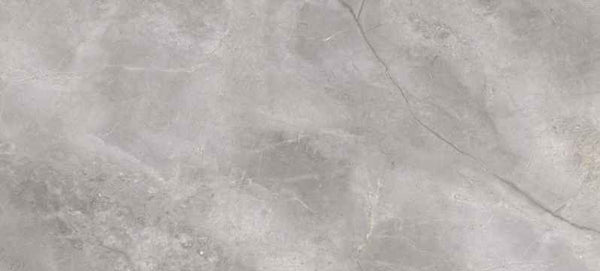 SERENITY SILVER LAPPATO 60x120 Art. 5294
