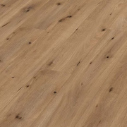 Meister LL150 NL Premium 6844 Veldeik Natuur