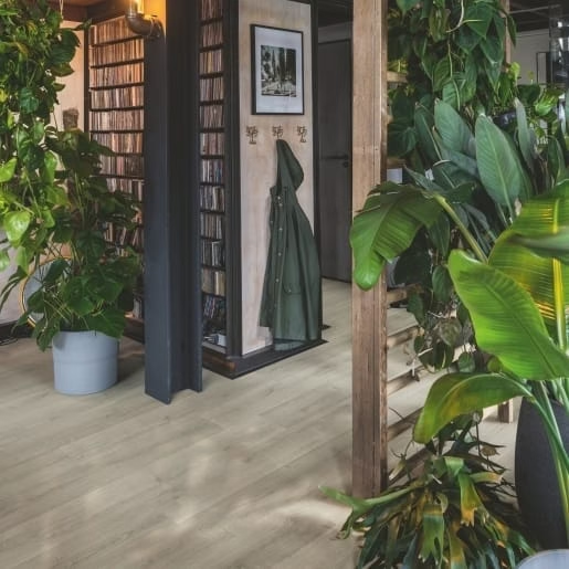 QUICK-STEP | CAPTURE SIG4765, Geborstelde eik grijs