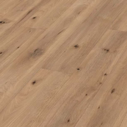 Meister LL150 NL Premium 6843 Veldeik Licht