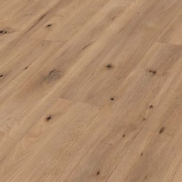 Meister LL150 NL Premium 6843 Veldeik Licht