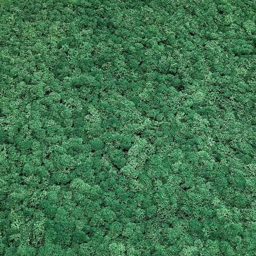 Akoestisch Mosgroen Tegel 60×60 cm | Pak à 0,36m²