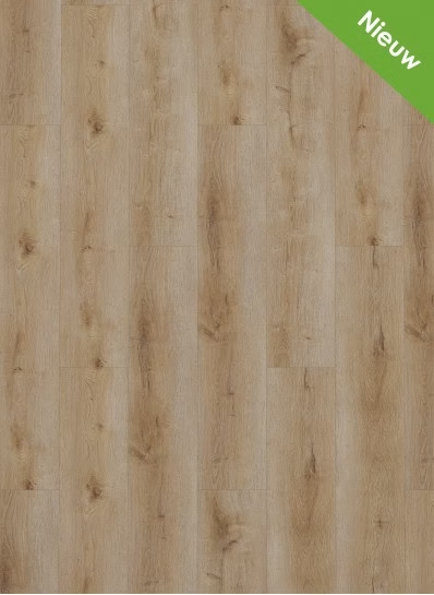 Dynamic 2501 (dryback) Natural smoked