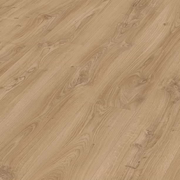 Meister LL250 Premium 6841 Kasteel Eik Licht