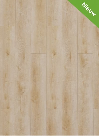 Dynamic 2500 (dryback) Natural light