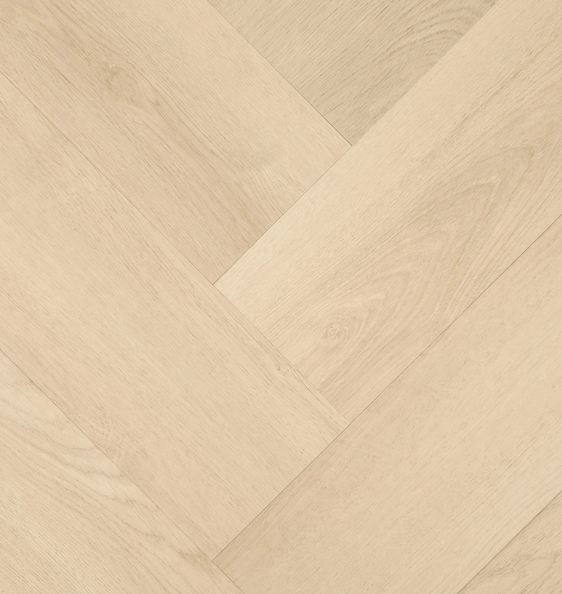 HEBETA Clermont Visgraat XL 77821