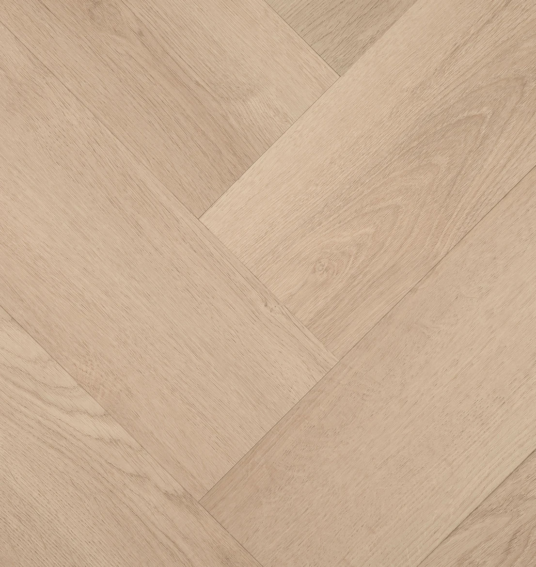 HEBETA Clermont Visgraat XL 77824