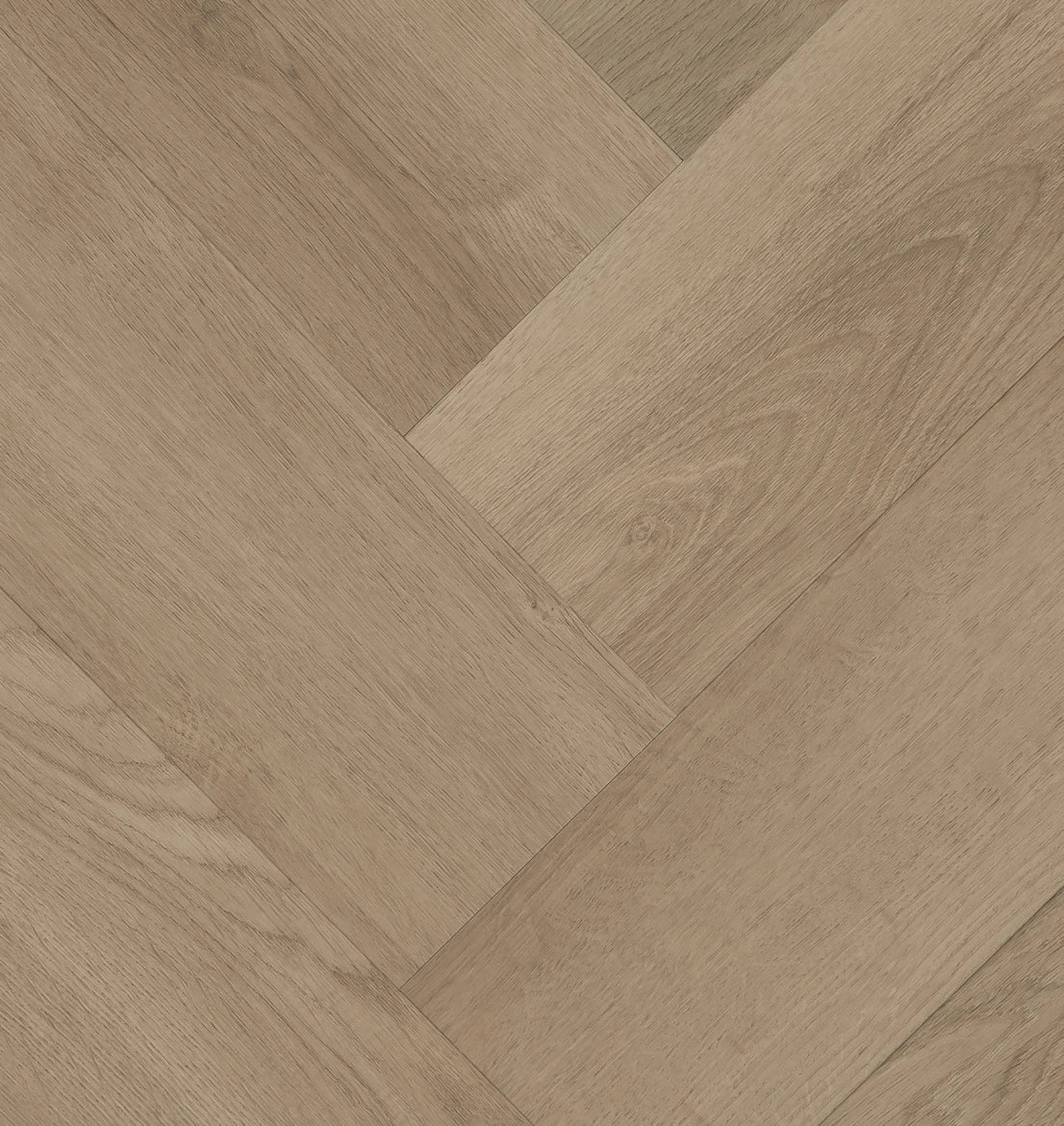 HEBETA Clermont Visgraat XL 77826