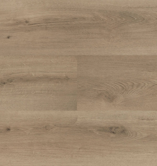 HEBETA Clermont XL Plank 54826