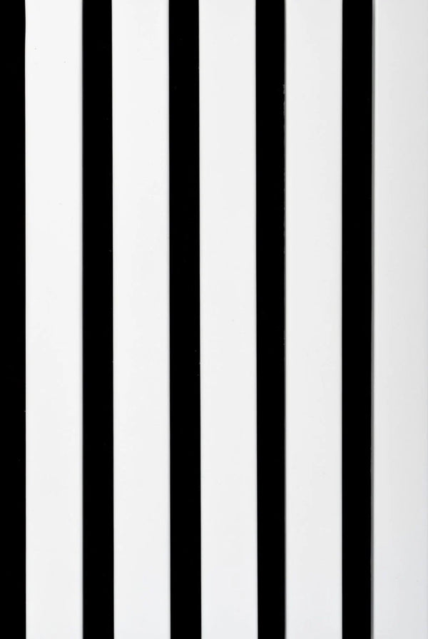 Akoestische Wandpanelen Wit (RAL 9016) Zwart Vilt | 240x60cm | 2 Stuks Akupanelen