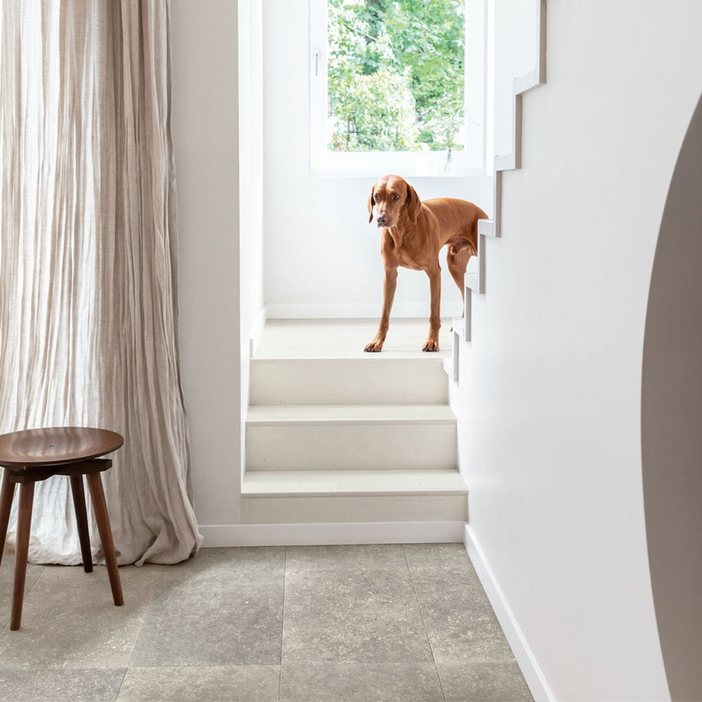 QUICK-STEP Laminaat Muse MUS5485 Gesluierde blauwsteen