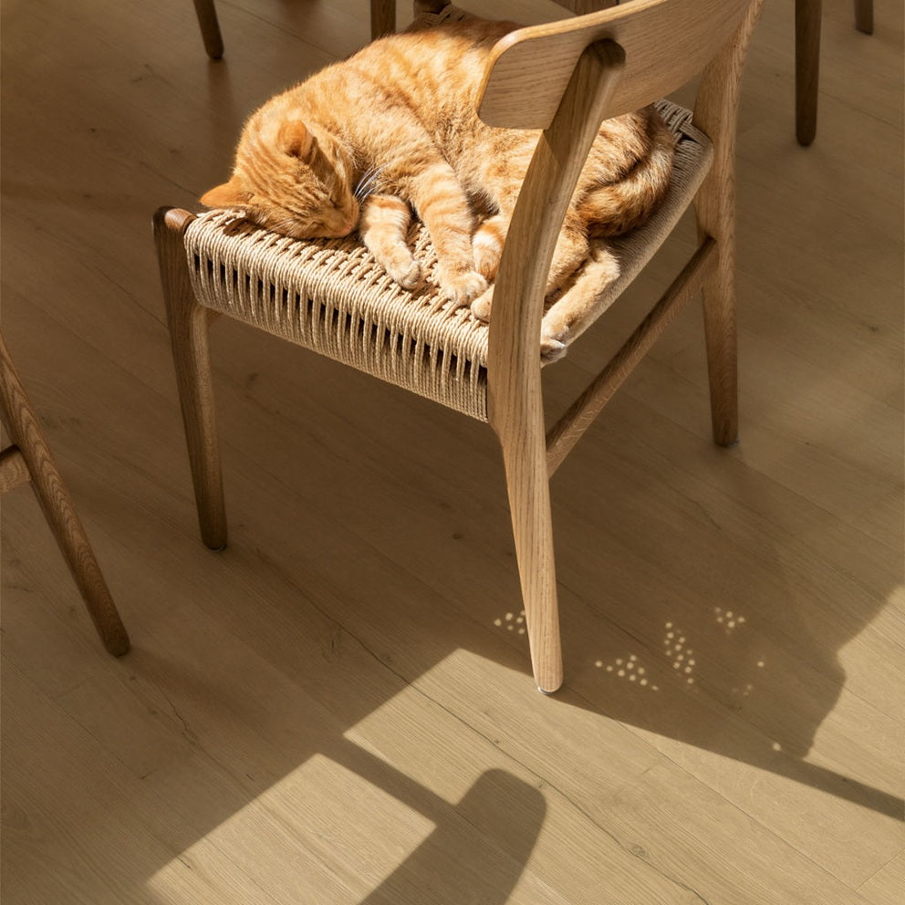 QUICK-STEP PVC Middelgrote plank klik Bloom AVMPU40319 Geborstelde beige eik