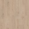 5217351019 5217353019 surprise millenium oak sp885 frontal
