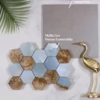 Tegel Danae White Hexagon 1000x1000