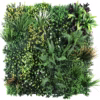 Moss Panel Amazon